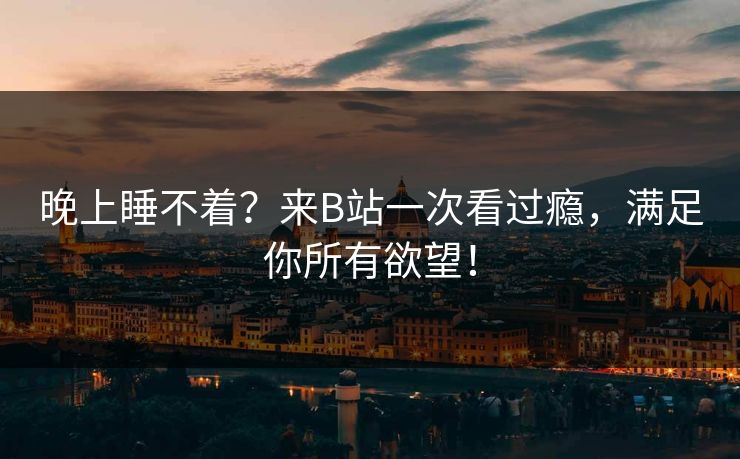 晚上睡不着？来B站一次看过瘾，满足你所有欲望！