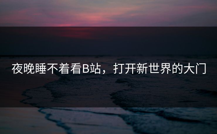 夜晚睡不着看B站,打开新世界的大门 夜晚睡不着看B站,打开新世界的大门