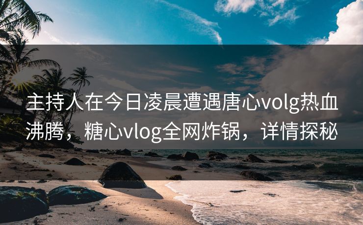主持人在今日凌晨遭遇唐心volg热血沸腾，糖心vlog全网炸锅，详情探秘