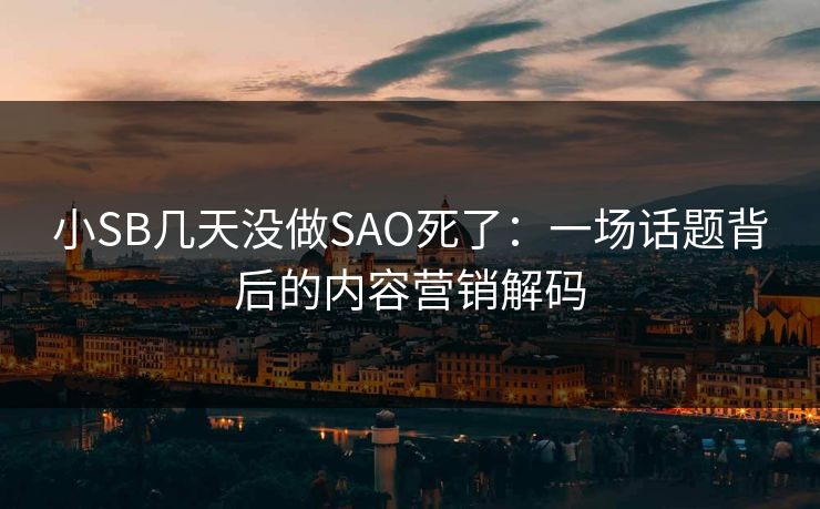 小SB几天没做SAO死了：一场话题背后的内容营销解码